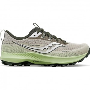 Saucony Peregrine 13 GTX Men's Running Shoes Grey / Mint | Jeddah IEGNJ