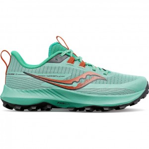 Saucony Peregrine 13 Women's Trail Running Shoes Turquoise | Riyadh LVYWO