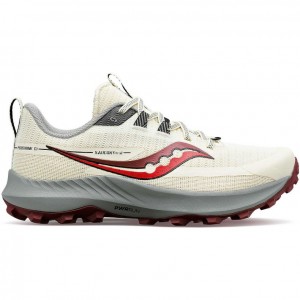 Saucony Peregrine 13 Women's Trail Running Shoes White | KSA VBLQD