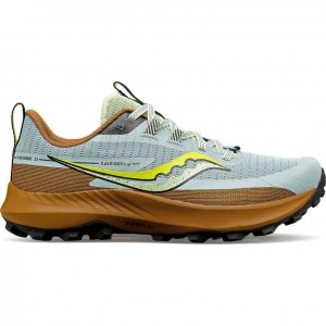 Saucony Peregrine 13 Women's Trail Running Shoes Light Blue / Brown | Riyadh DRVCW