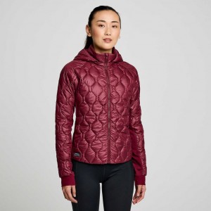 Saucony Solstice Oysterpuff Women's Jacket Burgundy | Riyadh NPCRE