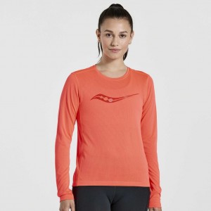 Saucony Stopwatch Graphic Long Sleeve Women's T-Shirt Orange | Jeddah THGMO