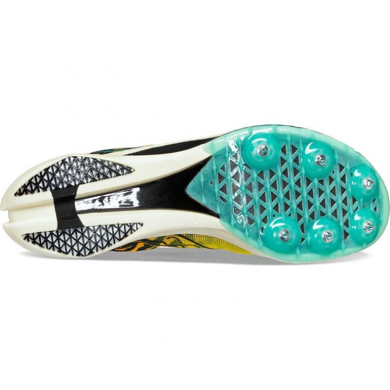 Saucony Endorphin Cheetah Women's Running Shoes Multicolor | Riyadh NICZP