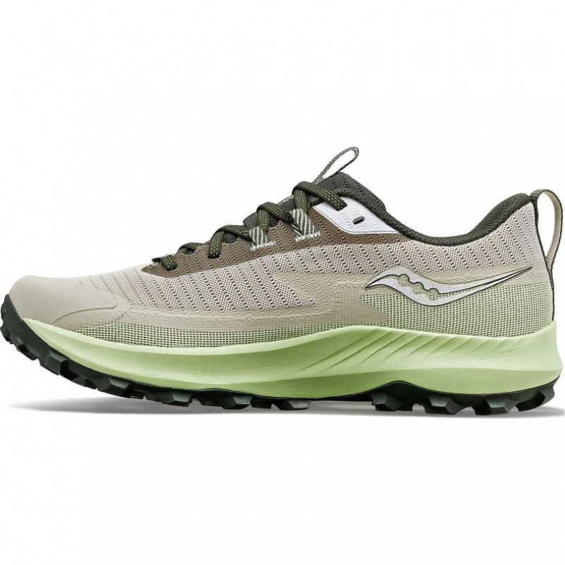 Saucony Peregrine 13 GTX Men's Running Shoes Grey / Mint | Jeddah IEGNJ