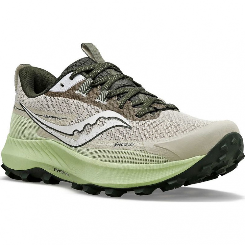 Saucony Peregrine 13 GTX Men's Running Shoes Grey / Mint | Jeddah IEGNJ