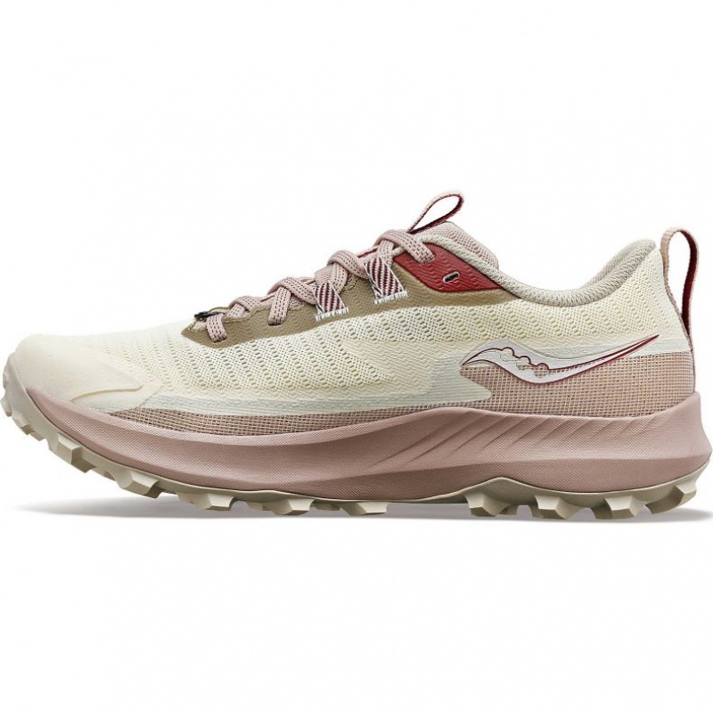 Saucony Peregrine 13 GTX Women's Trail Running Shoes White | Riyadh QMDOF