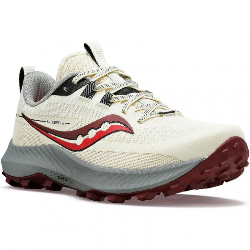 Saucony Peregrine 13 Women's Trail Running Shoes White | KSA VBLQD